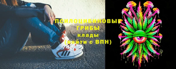 экстази Алексин