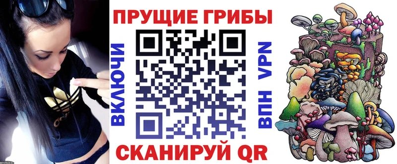 Галлюциногенные грибы прущие грибы  Сосновый Бор 