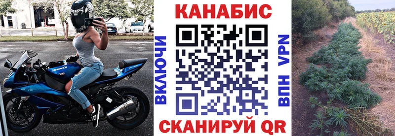 Конопля AK-47 Сосновый Бор